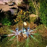 Casa Erceg Vincit Omnia ゲストハウス 3*