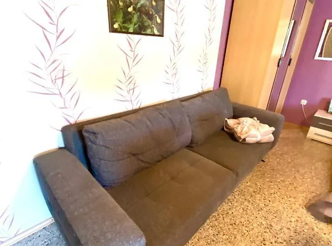 Casa Erceg Amor Vincit Omnia Guest house 3*