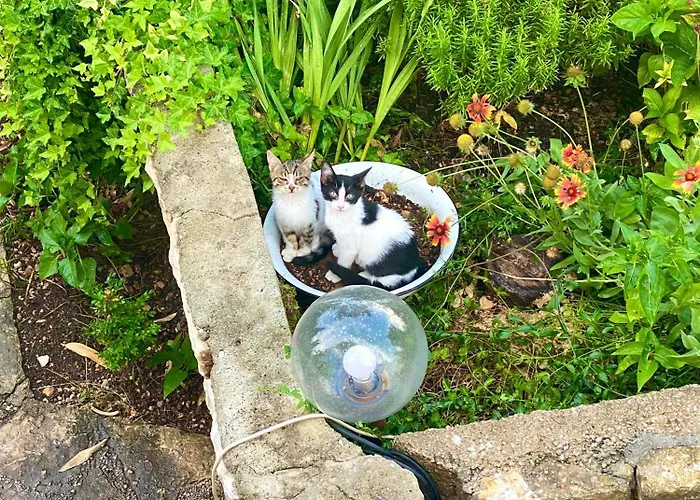 Casa Erceg Vincit Omnia Skradin